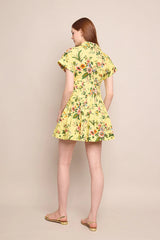 Cara Cara Nash Dress