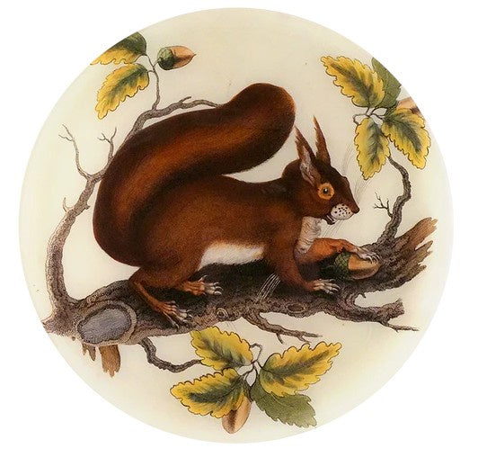 John Derian - 13" Round Plate - Squirrel