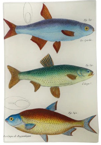 John Derian - 3 Fish Planche 82 6 x 9" Rect. Tray