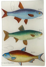 John Derian - 3 Fish Planche 82 6 x 9" Rect. Tray