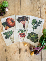 Linen Napkin - VEGETABLES - Assortment