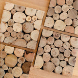 Design Ideas Branch Coaster Set