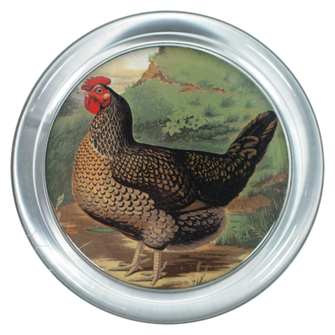 https://www.janeleslieco.com/products/john-dertian-single-combed-rooster-6