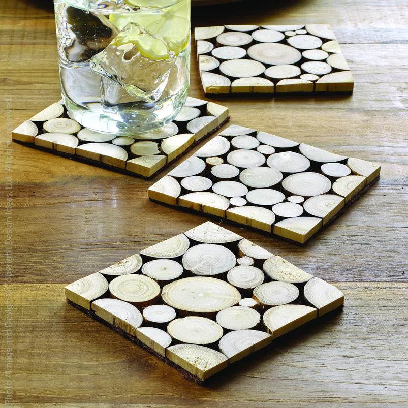 Design Ideas Branch Coaster Set