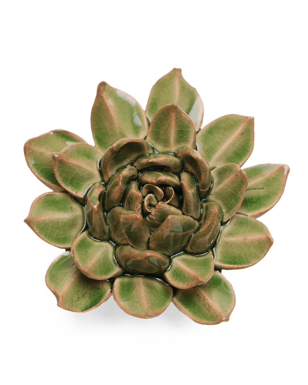 Chive EG12 Avocado Green Firecracker Succulent