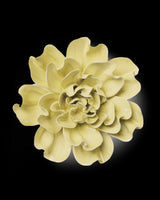 Ceramic Flower - Lime Yellow Larkspur- EG26