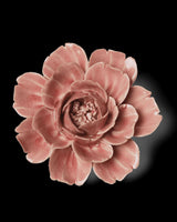 Ceramic Flower - Champagne Pink Rose - EG37