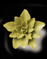 Ceramic Flower - Chartreuse Tiger Lily - EG51