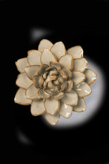 Ceramic Flower - Oatmeal Starbrite Water Lily - FR23