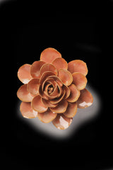Ceramic Flower - Peach Pink Begonia - FR35