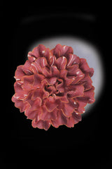 Ceramic Flower - Blush Pink Tundra Carnation - FR36