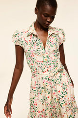 Misa Eveleigh Dress