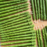 Green Asparagus Beeswax Candle Sticks