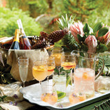 https://www.janeleslieco.com/products/juliska-isabella-acrylic-champagne-flute