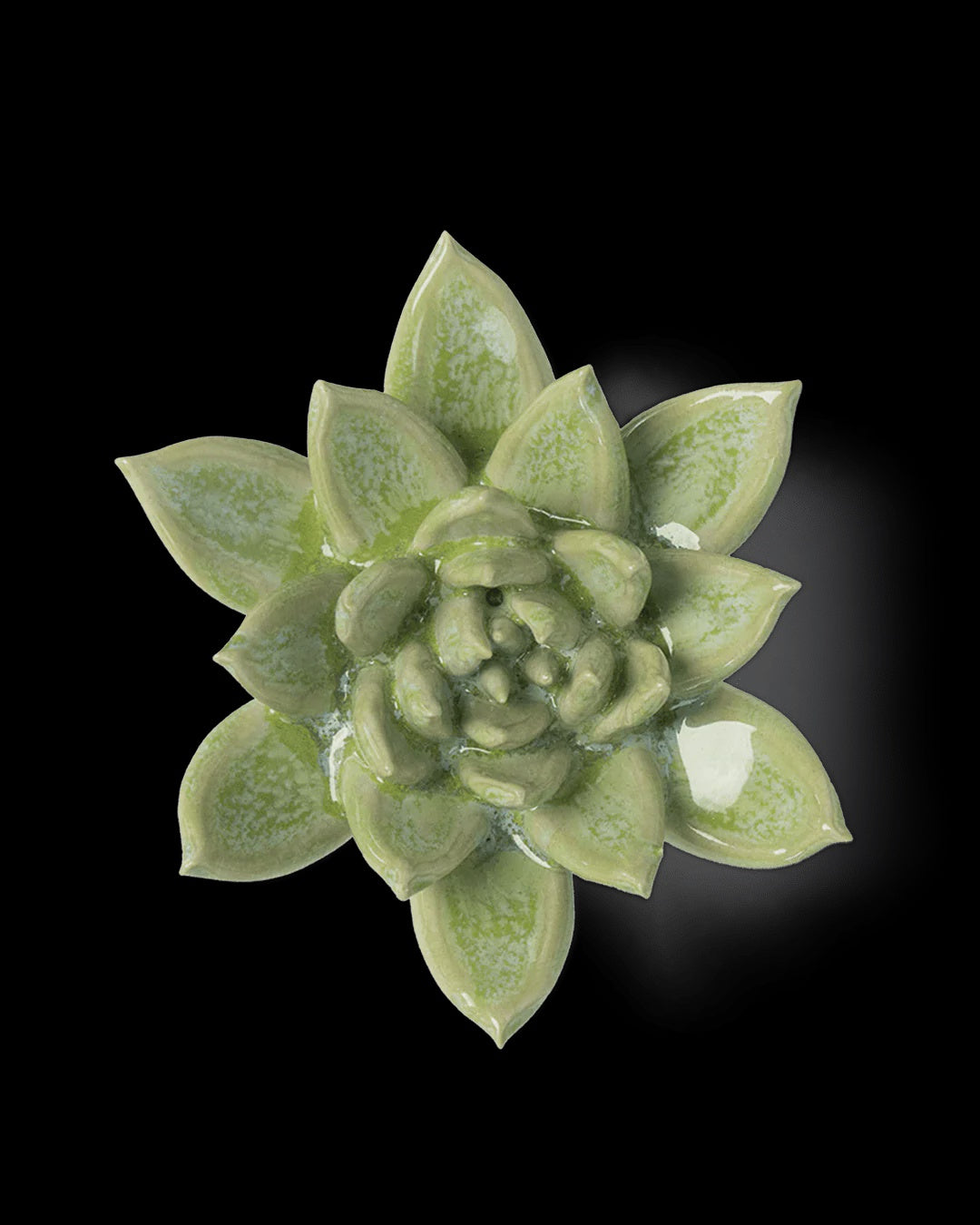 Ceramic Flower -  Pea Green Ghost Succulent - JA20