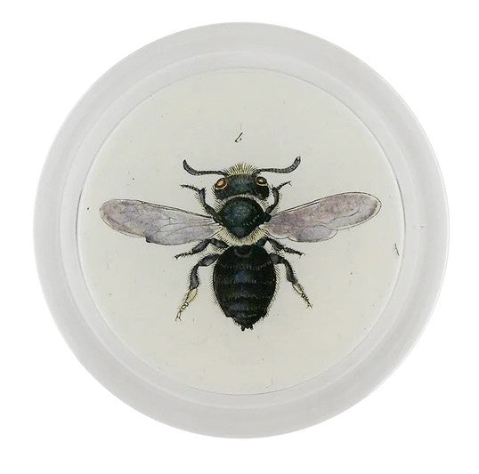 John Derian - Coaster - Poppy Mason Bee