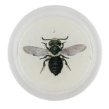 John Derian - Coaster - Poppy Mason Bee