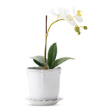 https://www.janeleslieco.com/products/juliskia-berry-thread-whitewash-5-25-planter