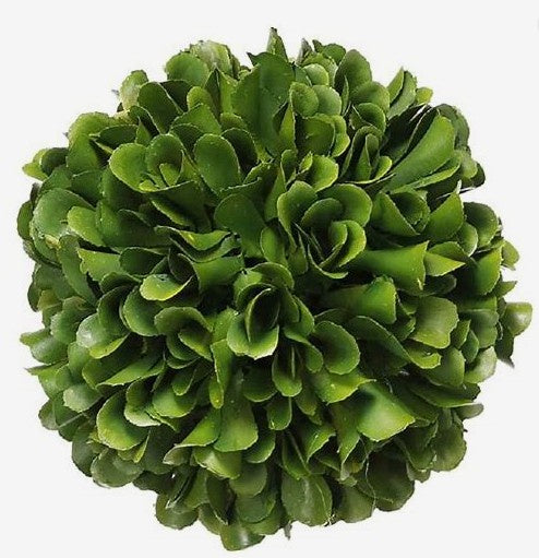 Preserved Boxwood Mini Ball - 4"