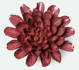 Ceramic Flower - Blush Pink Star Dahlia - JA17