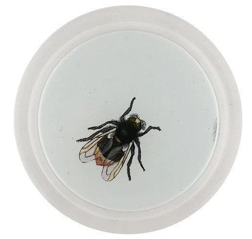 John Derian - Coaster - Bumblebee Hoverfly (Bees & Wasps)