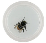 John Derian - Coaster - Bumblebee Hoverfly (Bees & Wasps)
