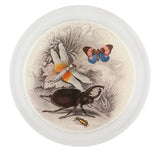 John Derian - Coaster - Butterflies with Beetle (Entomology)