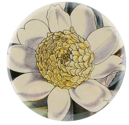 John Derian - Mirror Button - Camellia Sasanqua