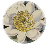 John Derian - Mirror Button - Camellia Sasanqua