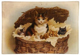 John Derian - Cat Basket 4.5 x 6.5" Mini-Tray