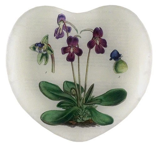 John Derian - Common Butterwort 8" Heart Dish