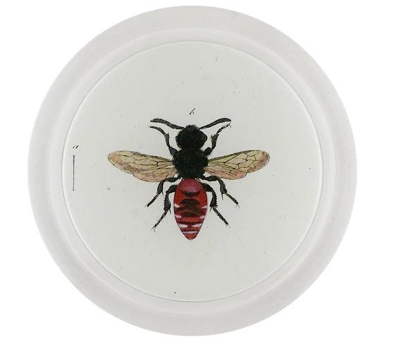 John Derian - Coaster - Variegated Cuckoo Bee (Bees & Wasps)