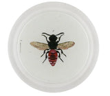 John Derian - Coaster - Variegated Cuckoo Bee (Bees & Wasps)
