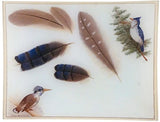 John Derian - Feathers 8 x 10.5" Rect. Tray