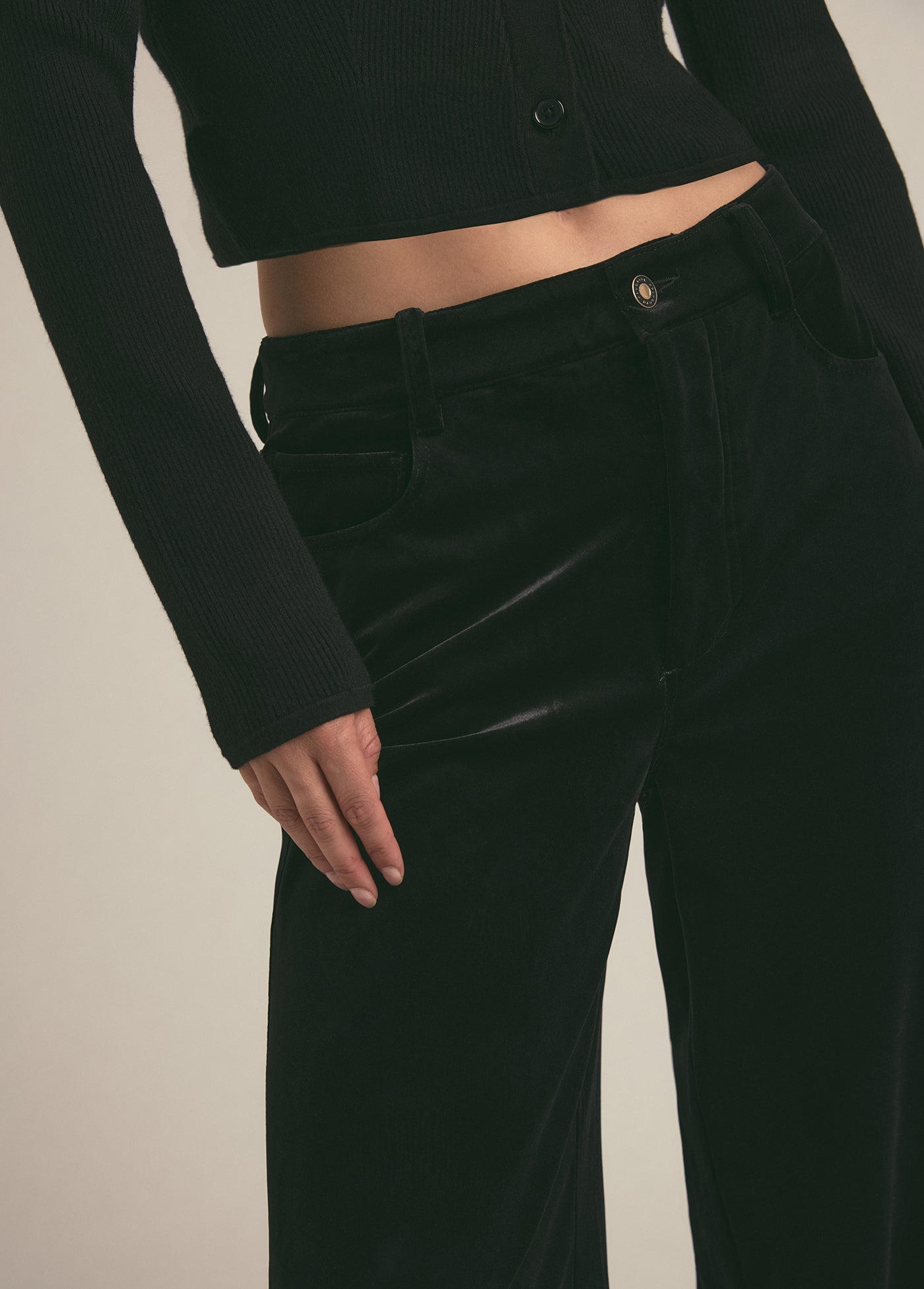 Favorite Daughter - The Ollie Low Rise Ultimate Baggy Wide Leg Pant - Black Out