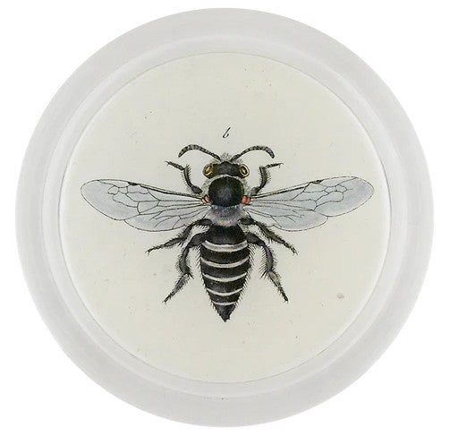 John Derian - Coaster - Heather Mining Bee (Bees & Wasps)