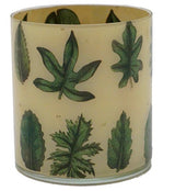 John Derian - Desk Cup - Leaf Specimen