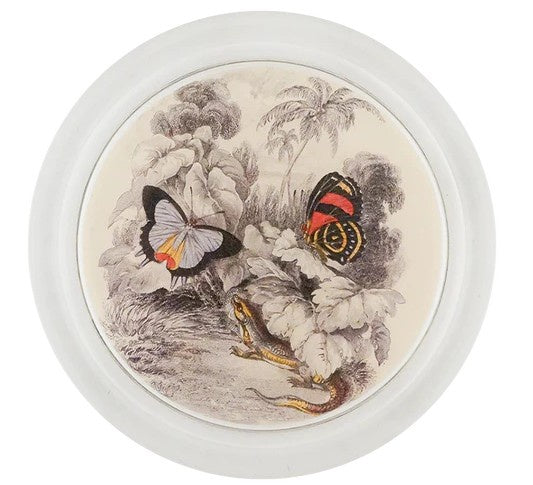 John Derian - Coaster - Butterflies with Green Lizard (Entomology)