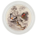 John Derian - Coaster - Butterflies with Green Lizard (Entomology)