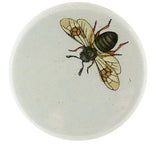 John Derian - Mirror Button - Long Horned Bee