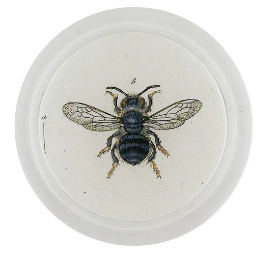 John Derian - Coaster - Mining Bee