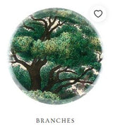 John Derian - Mirror Button - Branches