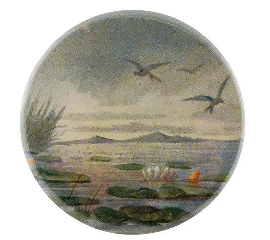 John Derian - Mirror Button - Lily Pond