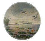 John Derian - Mirror Button - Lily Pond