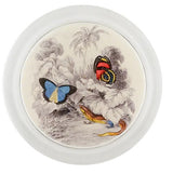 John Derian - Coaster - Butterflies with Red Lizard (Entomology)
