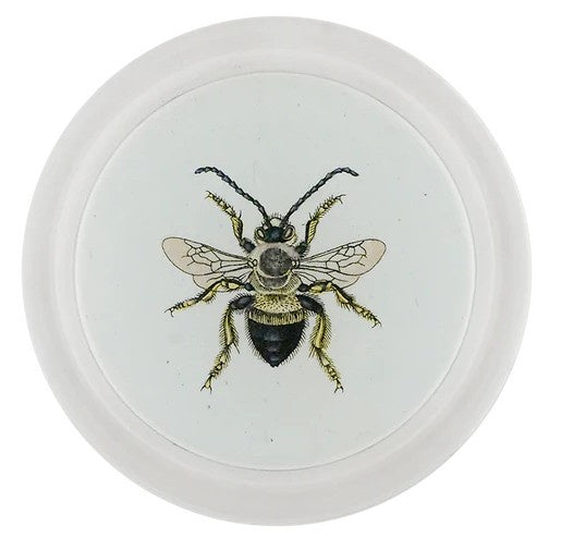 John Derian - Coaster - Red Mason Bee