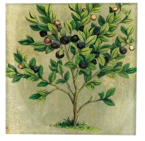 John Derian - 6" Spoon Rest - Blueberry