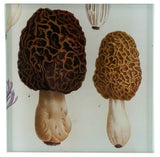 John Derian - 6" Spoon Rest - Morel