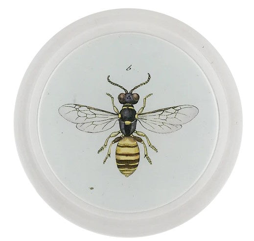 John Derian - Coaster - Square Headed Wasp