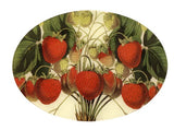 John Derian -  Oval Tray - Strawberries